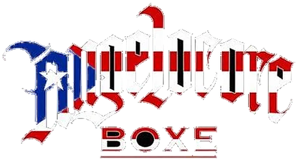 AngeloCore Boxe